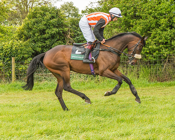 Warwickshire at Mollington