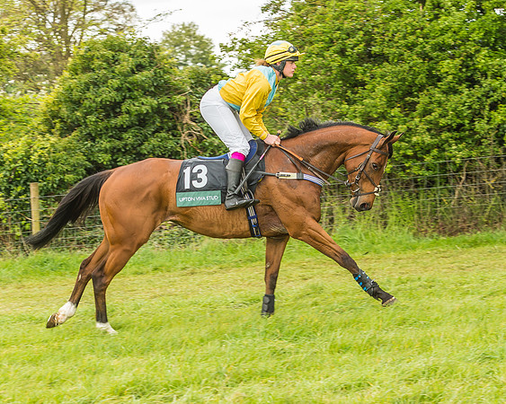 Warwickshire at Mollington