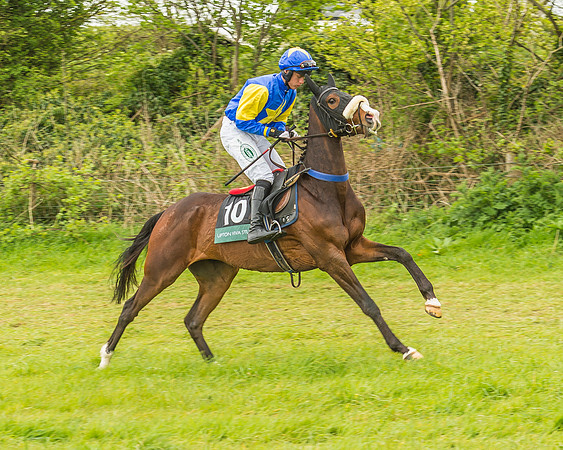 Warwickshire at Mollington