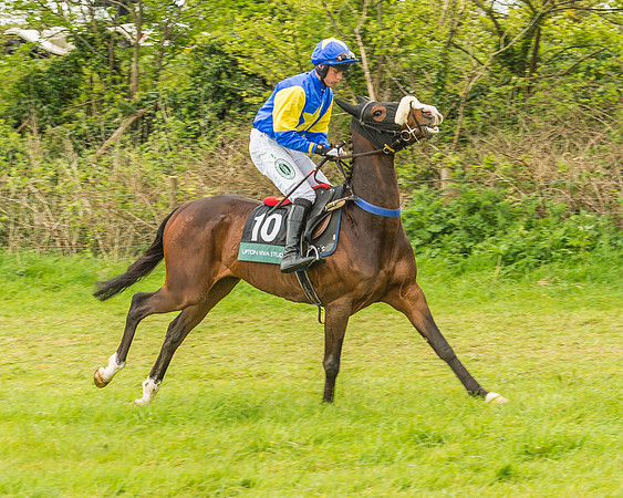 Warwickshire at Mollington