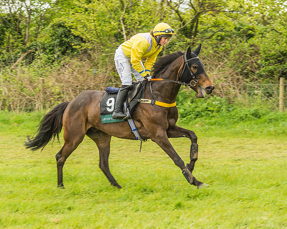 Warwickshire at Mollington