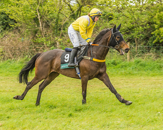 Warwickshire at Mollington