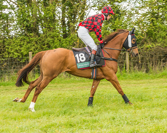Warwickshire at Mollington