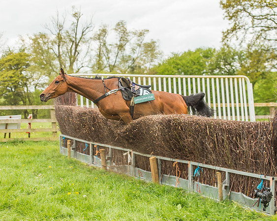 Warwickshire at Mollington