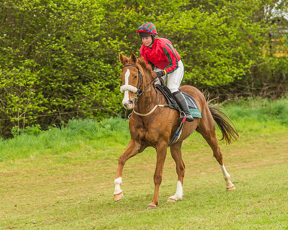 Warwickshire at Mollington