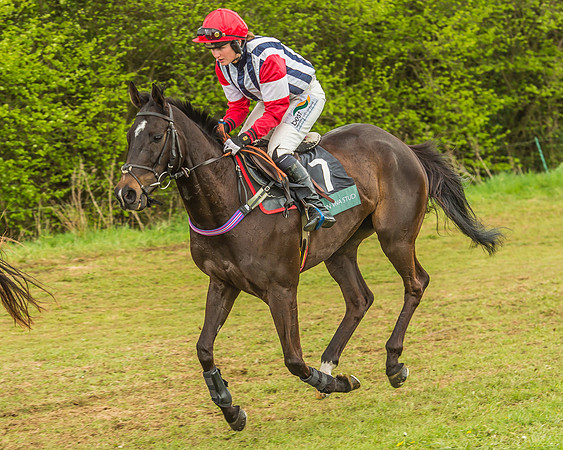 Warwickshire at Mollington