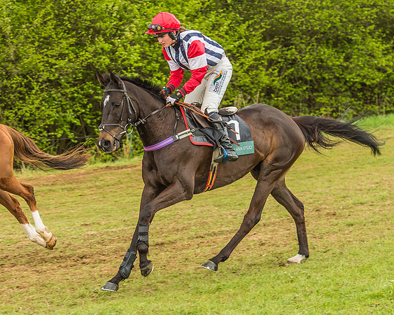 Warwickshire at Mollington