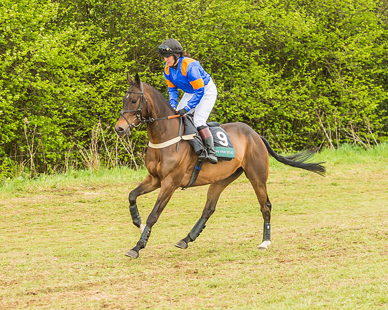 Warwickshire at Mollington