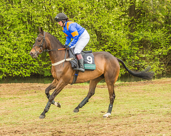 Warwickshire at Mollington
