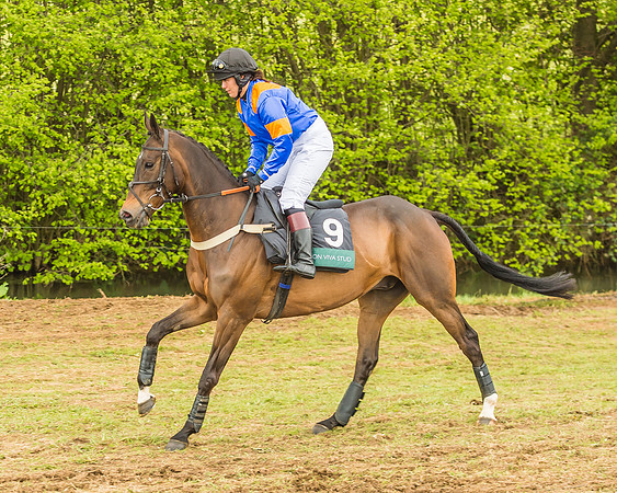 Warwickshire at Mollington