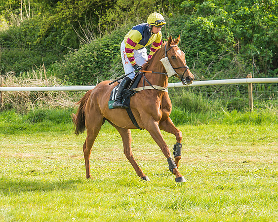 Warwickshire at Mollington