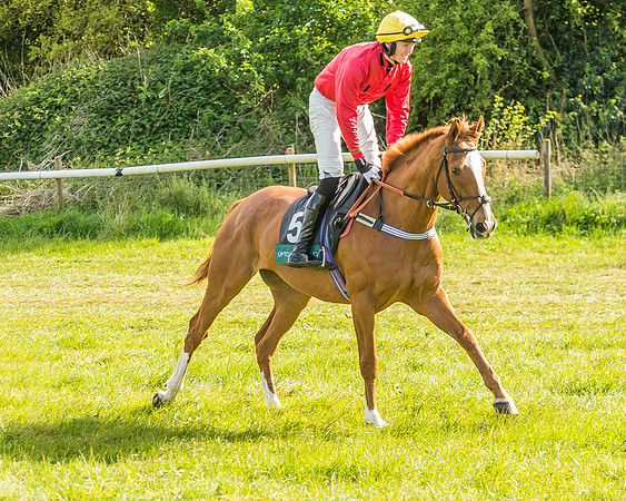 Warwickshire at Mollington