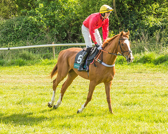 Warwickshire at Mollington
