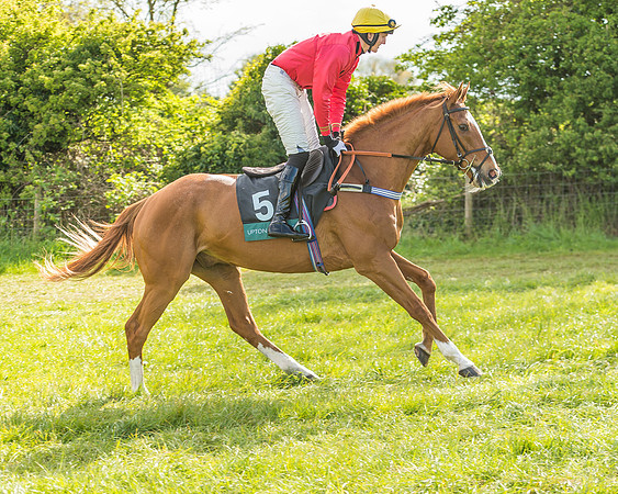 Warwickshire at Mollington