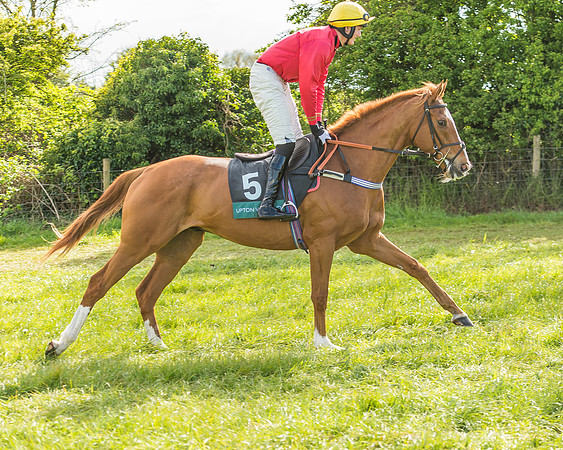 Warwickshire at Mollington