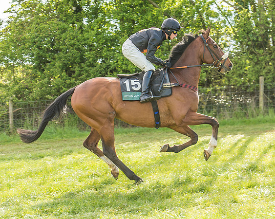 Warwickshire at Mollington
