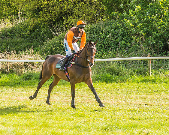 Warwickshire at Mollington
