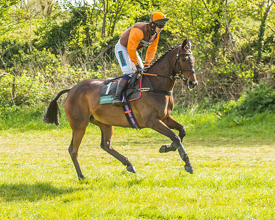 Warwickshire at Mollington