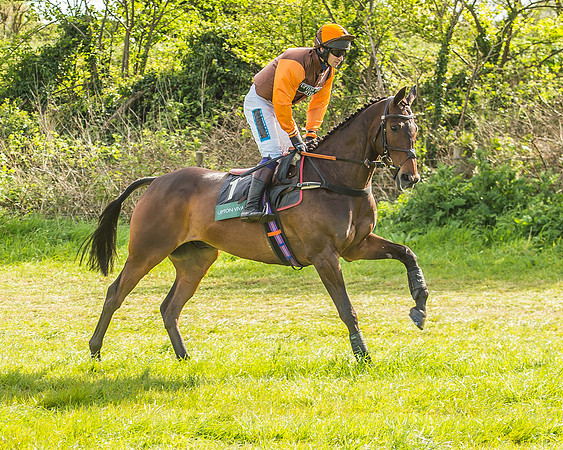 Warwickshire at Mollington