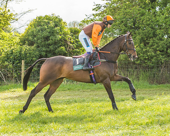 Warwickshire at Mollington