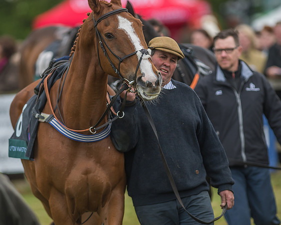 Warwickshire at Mollington