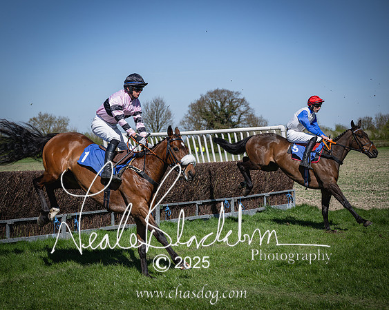 Race 2 - The Maiden (65 of 118)