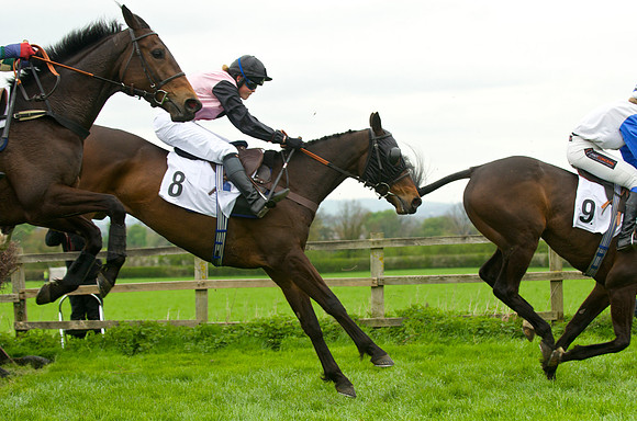 Race 4 - Nov-vets 40
