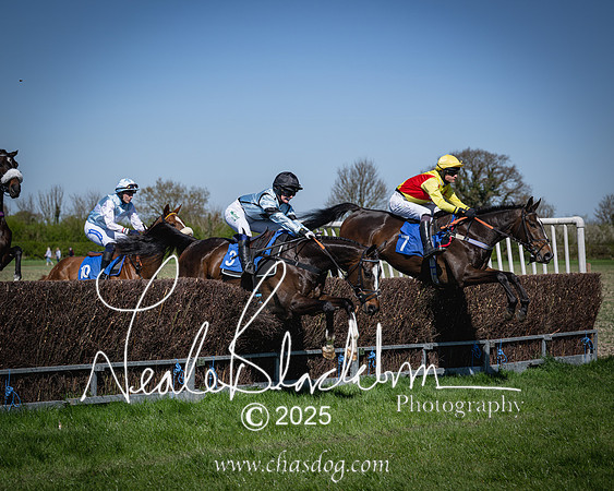 Race 2 - The Maiden (54 of 118)