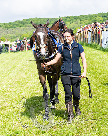 Race 2 - Novice Riders (5 of 369)
