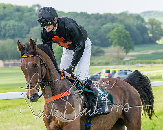 Race 4 - PPORA Novice Riders Final  (113 of 362)