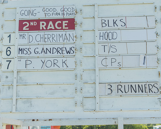 The Kingston Blount Racing Club Members Conditions Race