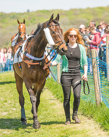 The Kingston Blount Racing Club Members Conditions Race