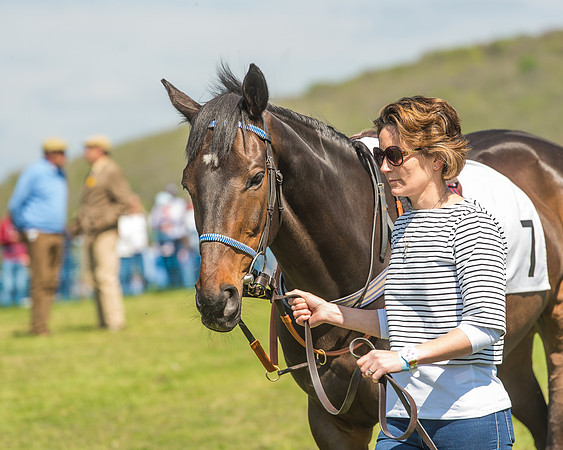 The Kingston Blount Racing Club Members Conditions Race