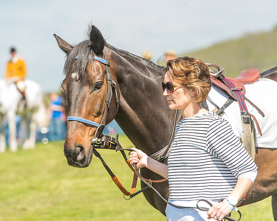 The Kingston Blount Racing Club Members Conditions Race