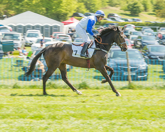 The Kingston Blount Racing Club Members Conditions Race