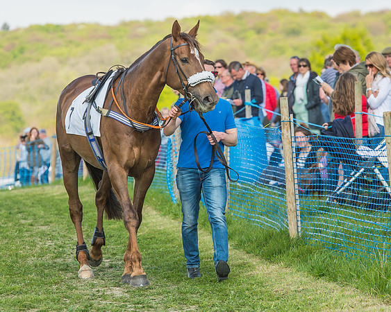 The Intermediate Race