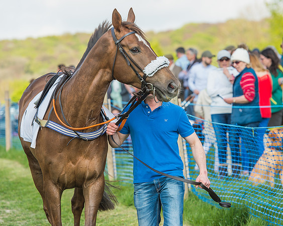 The Intermediate Race