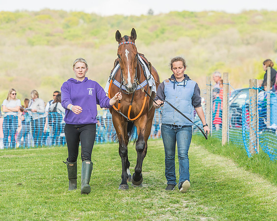 The Intermediate Race