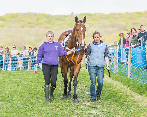 The Intermediate Race