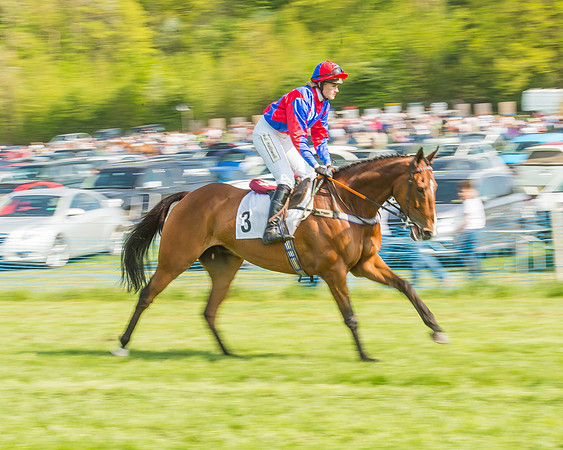 The Intermediate Race