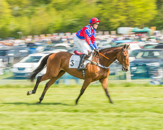 The Intermediate Race