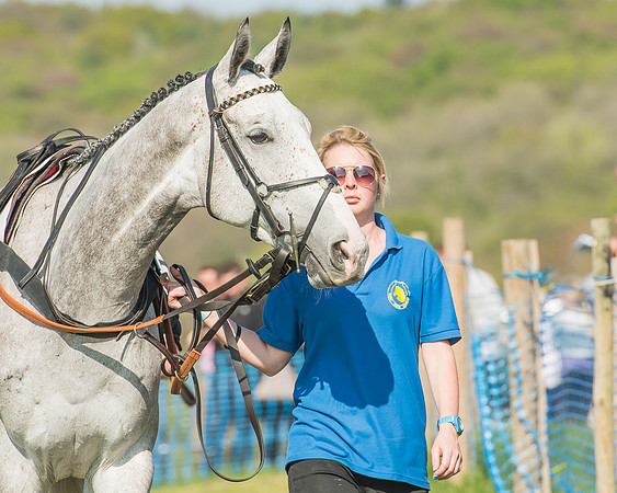 The Young Horse Maiden