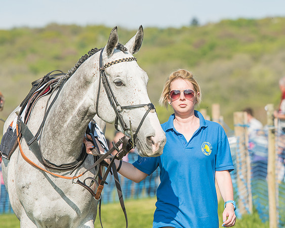 The Young Horse Maiden