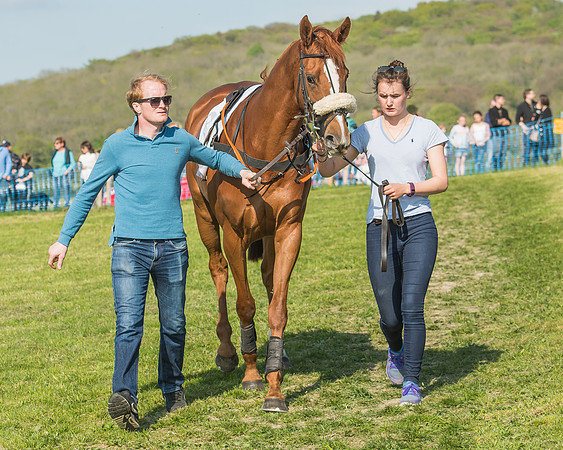 The Young Horse Maiden