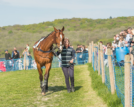 The Young Horse Maiden