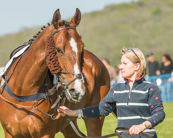 The Young Horse Maiden