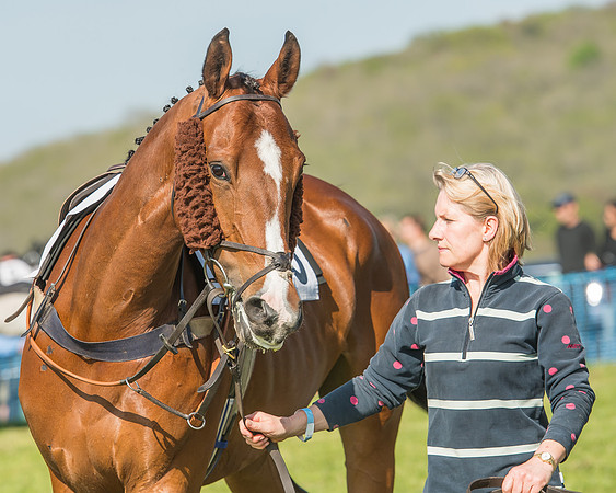 The Young Horse Maiden