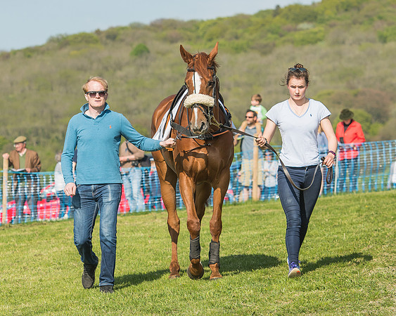 The Young Horse Maiden