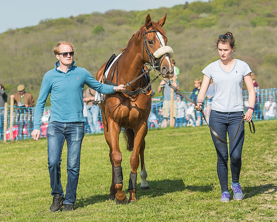 The Young Horse Maiden