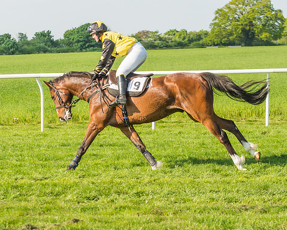 The Members race